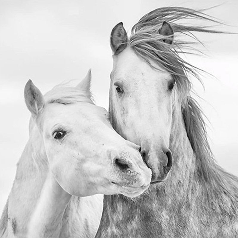 Papier peint chevaux dessinés – Image 2