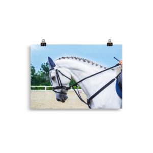 Affiche cheval de dressage