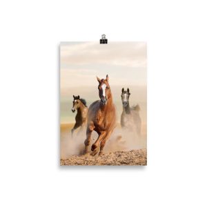 Affiche cheval sauvage