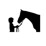 autocollant cheval pour van