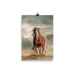 Poster Cheval Poussière