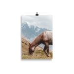 Poster Cheval à la montagne