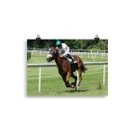 Poster Cheval Sport Hippique