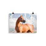 Poster Cheval Arabe