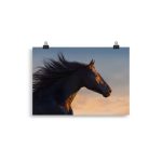 Poster Cheval Horizon
