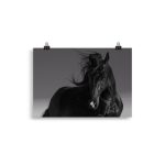 Poster Cheval Noir (noir et blanc)