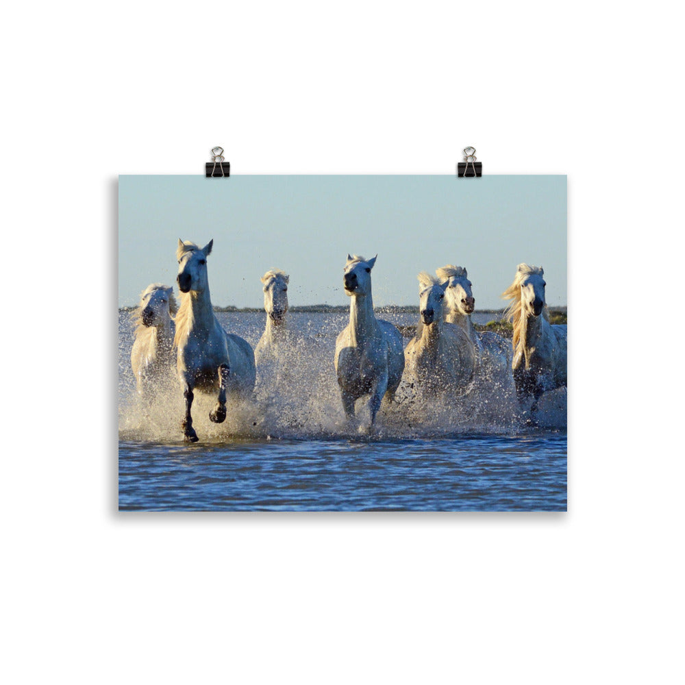Poster cheval Camargue – Image 2