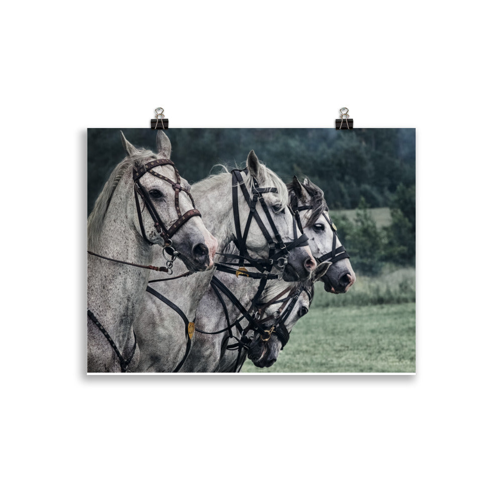 Poster cheval de guerre – Image 2