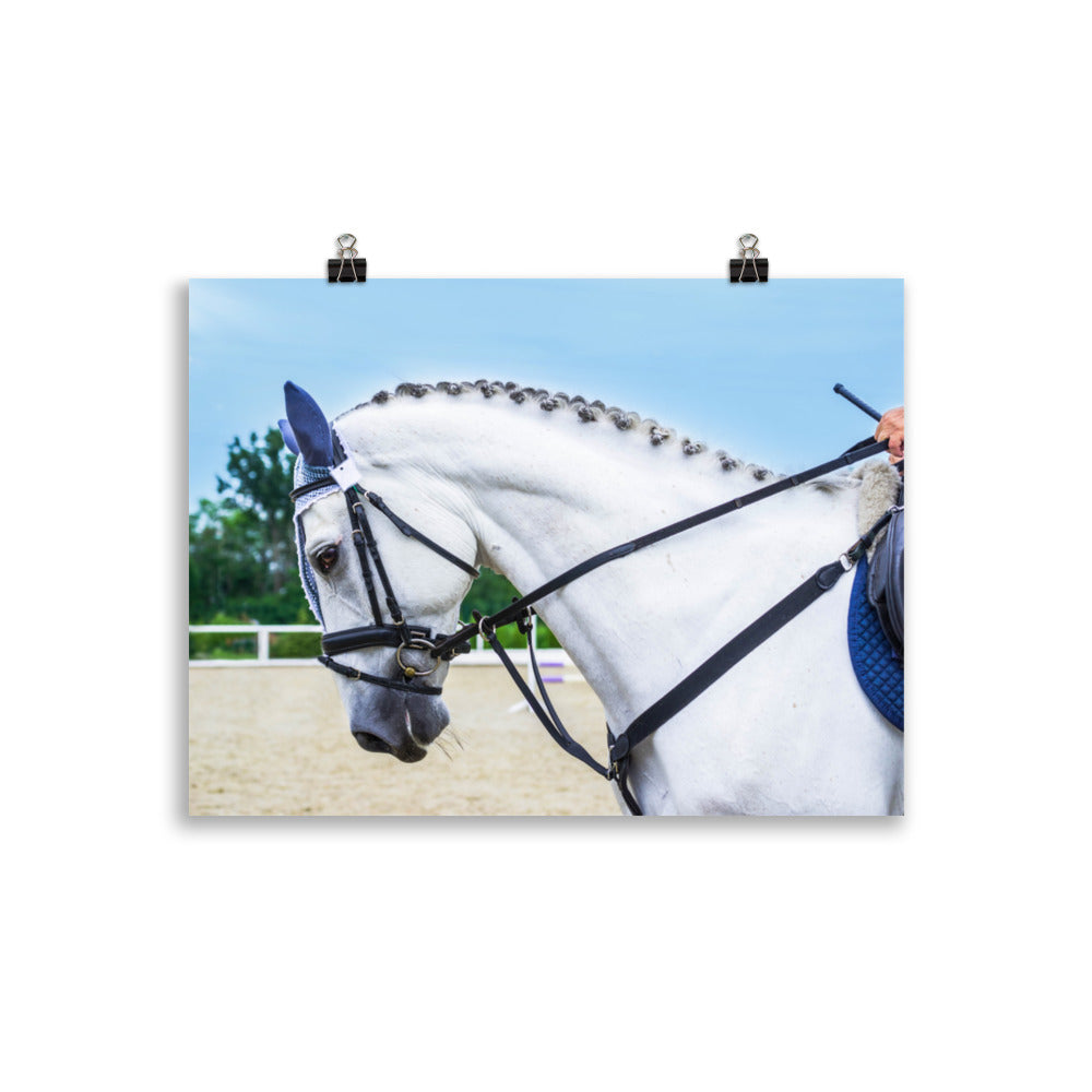 Poster Cheval de Dressage – Image 2