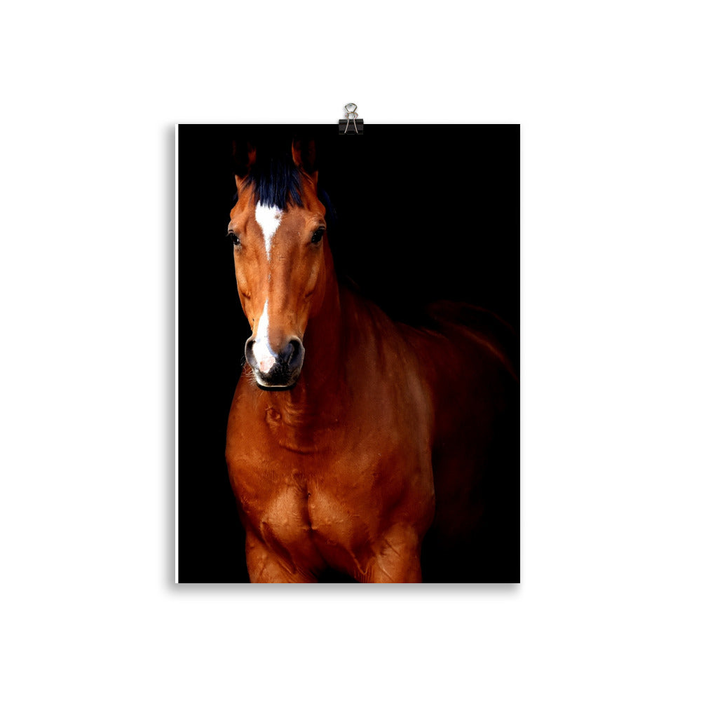 Poster Cheval Marron – Image 2
