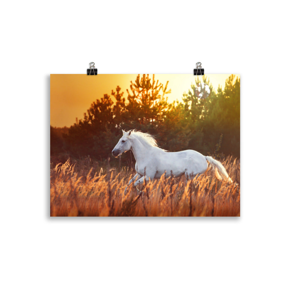 Poster Cheval Blanc Dans les Champs – Image 2