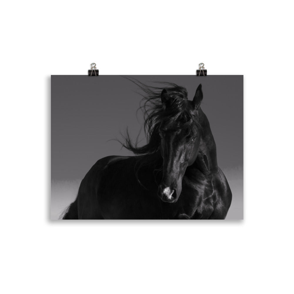 Poster Cheval Noir (noir et blanc) – Image 2