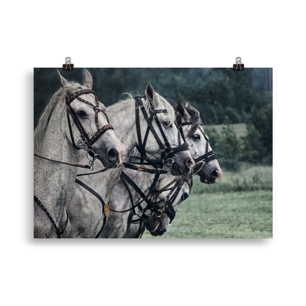 Poster cheval de guerre – Image 3
