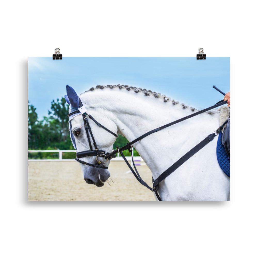 Poster Cheval de Dressage – Image 3