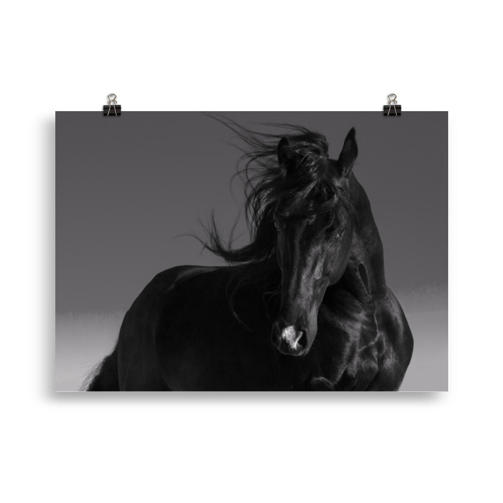 Poster Cheval Noir (noir et blanc) – Image 3