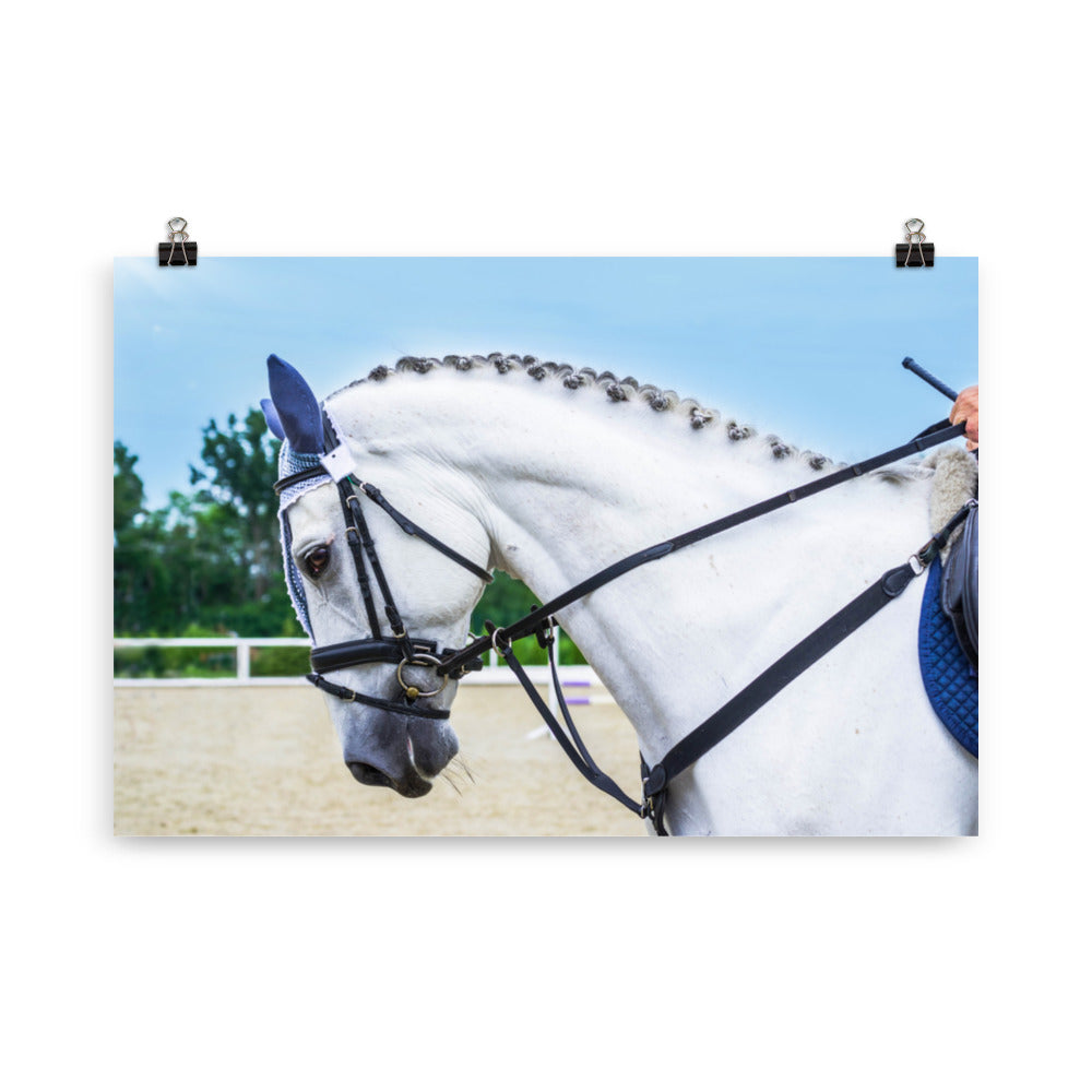 Poster Cheval de Dressage – Image 4