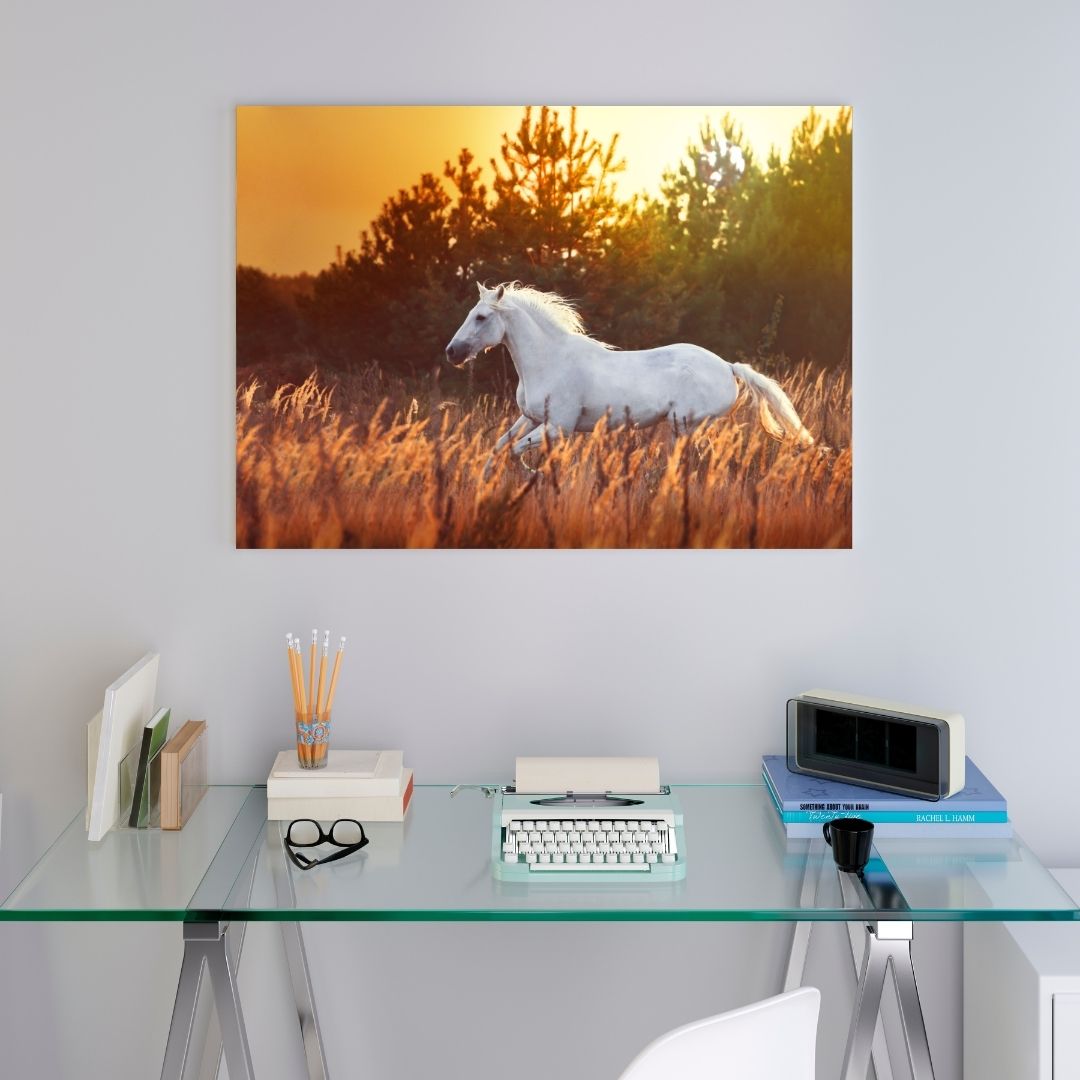 Poster Cheval Blanc Dans les Champs – Image 6