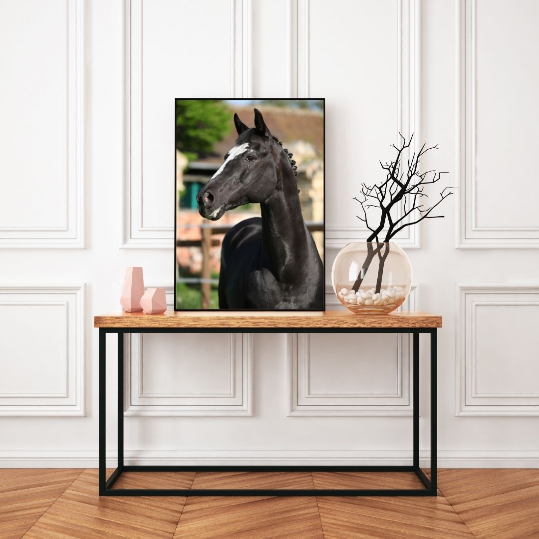 Poster Cheval KWPN – Image 6