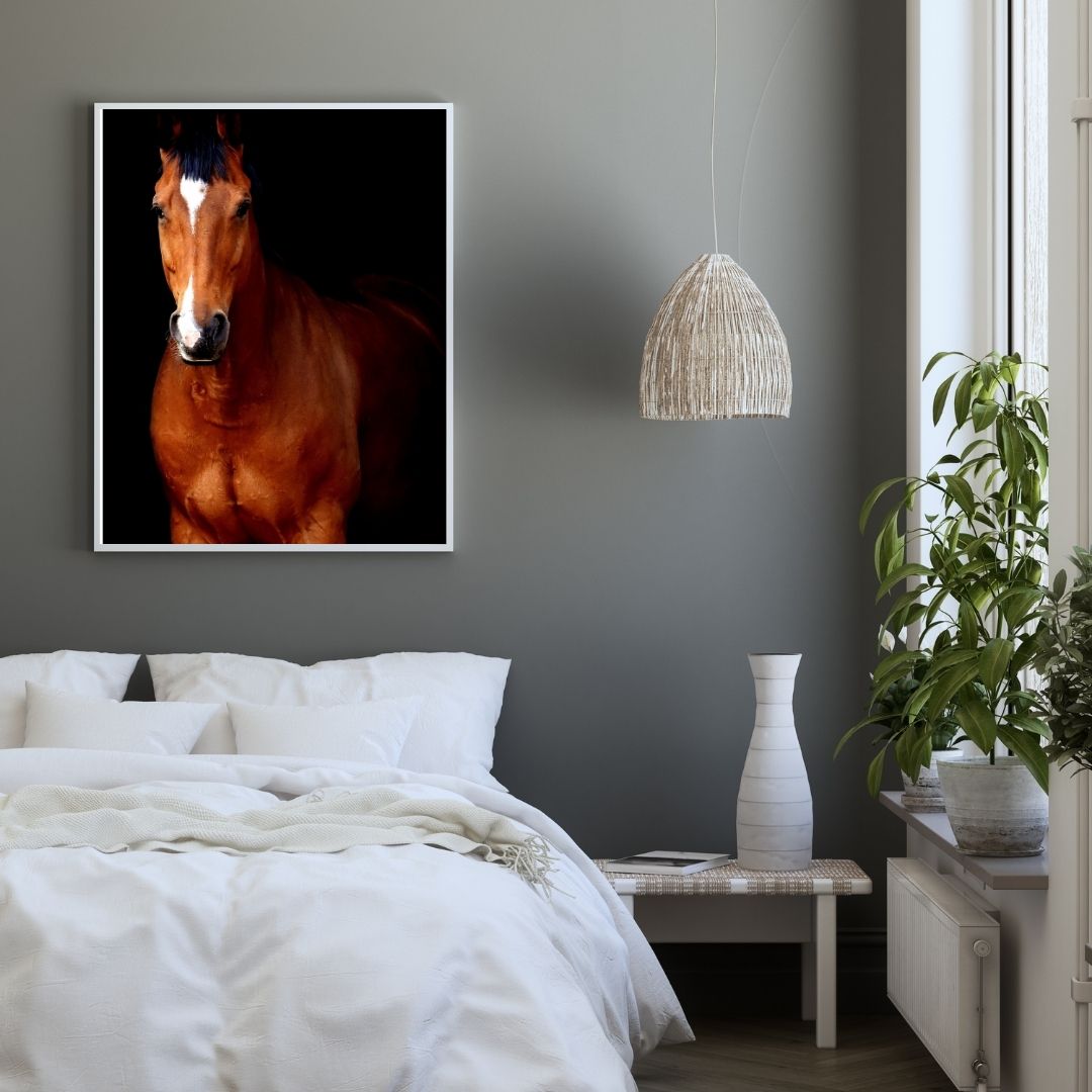 Poster Cheval Marron – Image 6