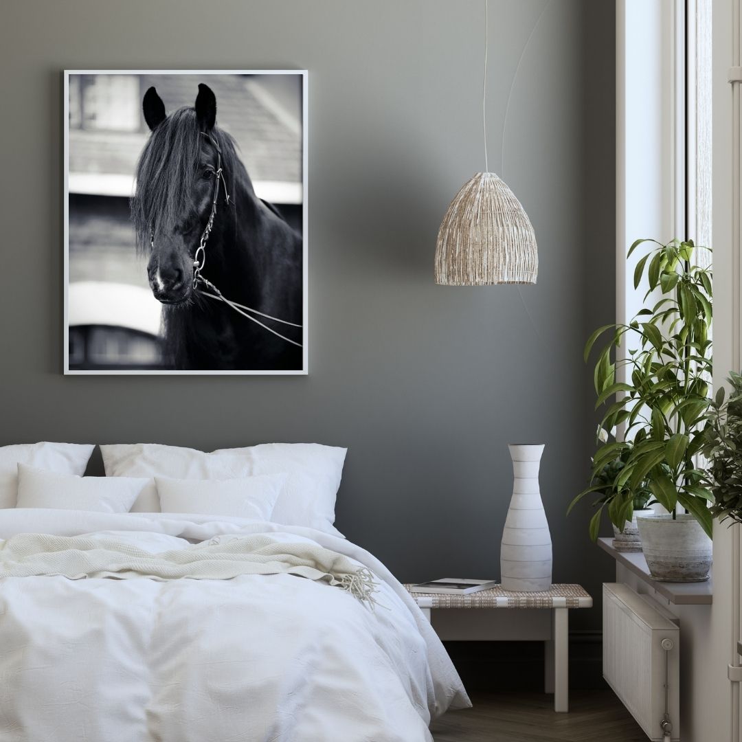 Poster Cheval Noir – Image 6