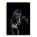 Tableau cheval <br> Contemporain