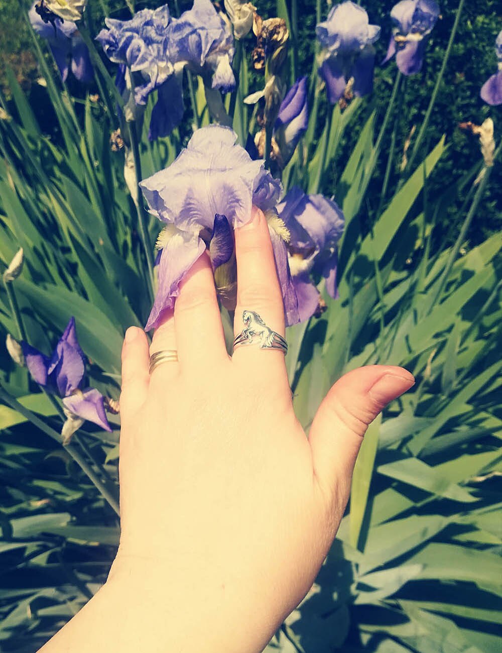 Bague Cheval <br> Femme – Image 3