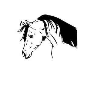 Stickers Cheval <br> Triste