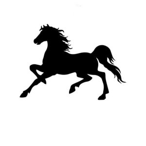 Stickers Cheval <br> Silhouette d'étalon