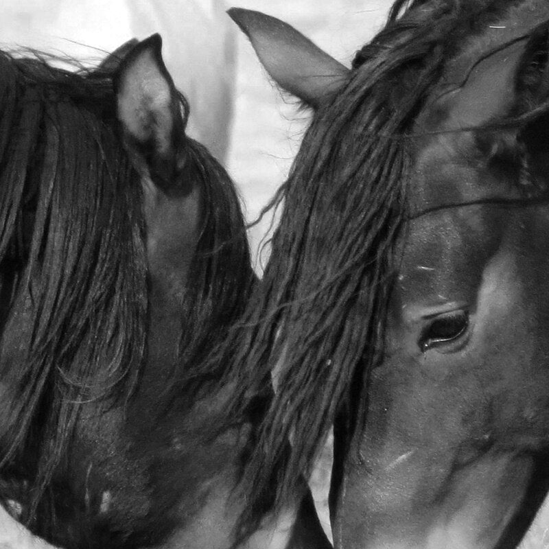 Tableau Cheval <br> Amour en Noir et Blanc – Image 5