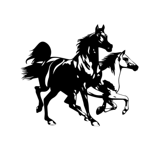 Stickers Cheval <br> Duo Hippique