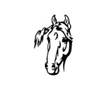 Stickers Cheval <br> Tête dessiné