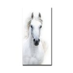Tableau Cheval Blanc