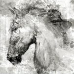 Tableau Cheval <br> Abstrait Noir et Blanc