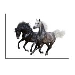 Tableau Chevaux Ibériques