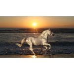 Tableau Chevaux Mer